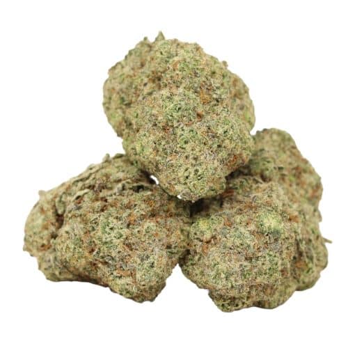 Raspberry Swirl strain cannabis