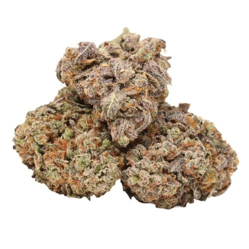 Space Queen strain cannabis