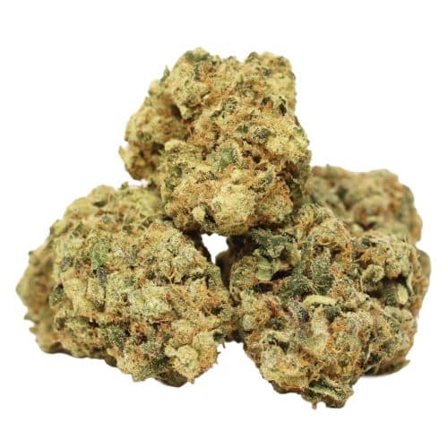 Starbud strain cannabis
