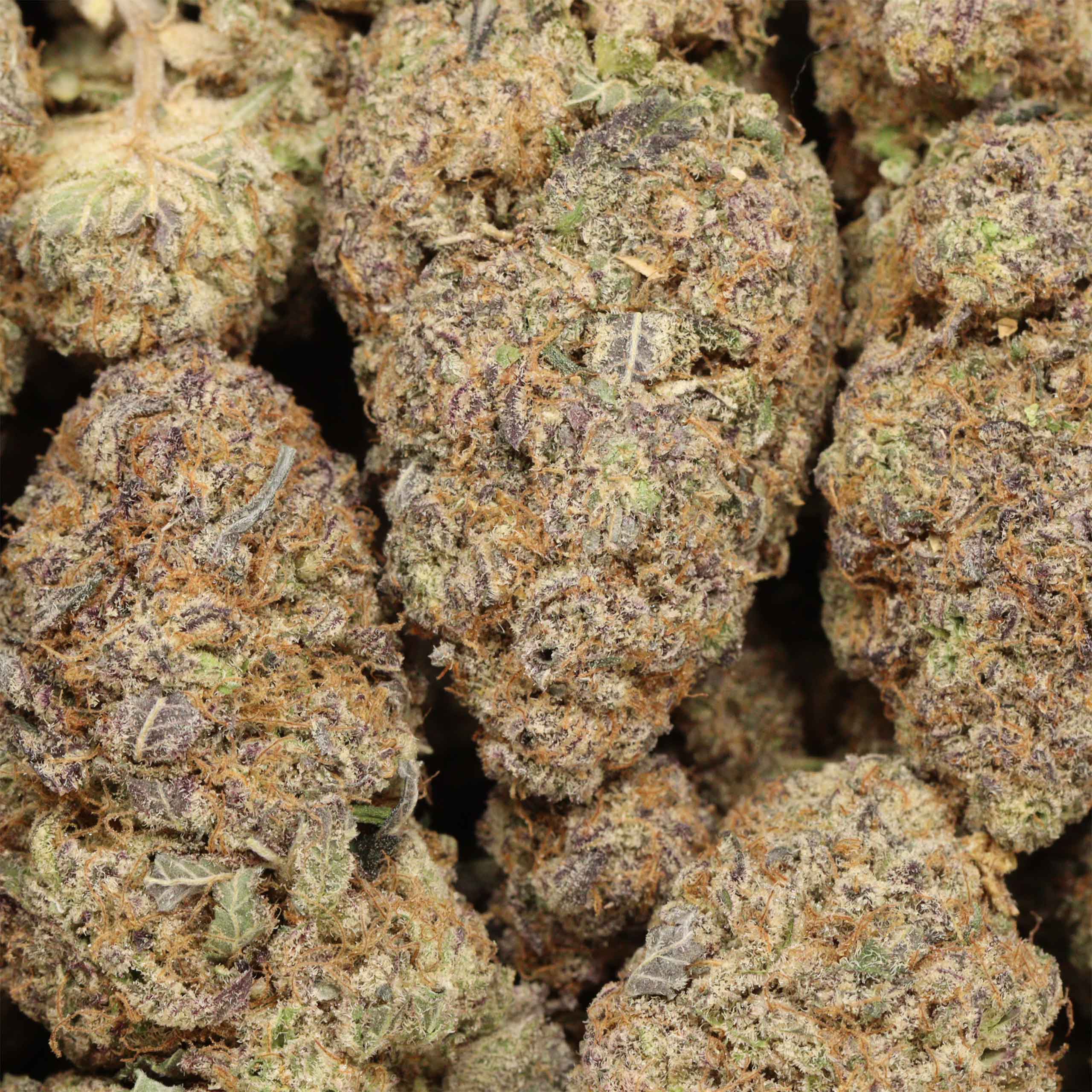 temptation craft cannabis