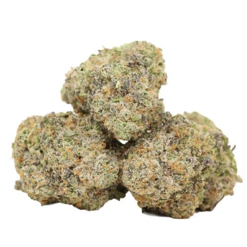 Tropicanna Banana strain cannabis