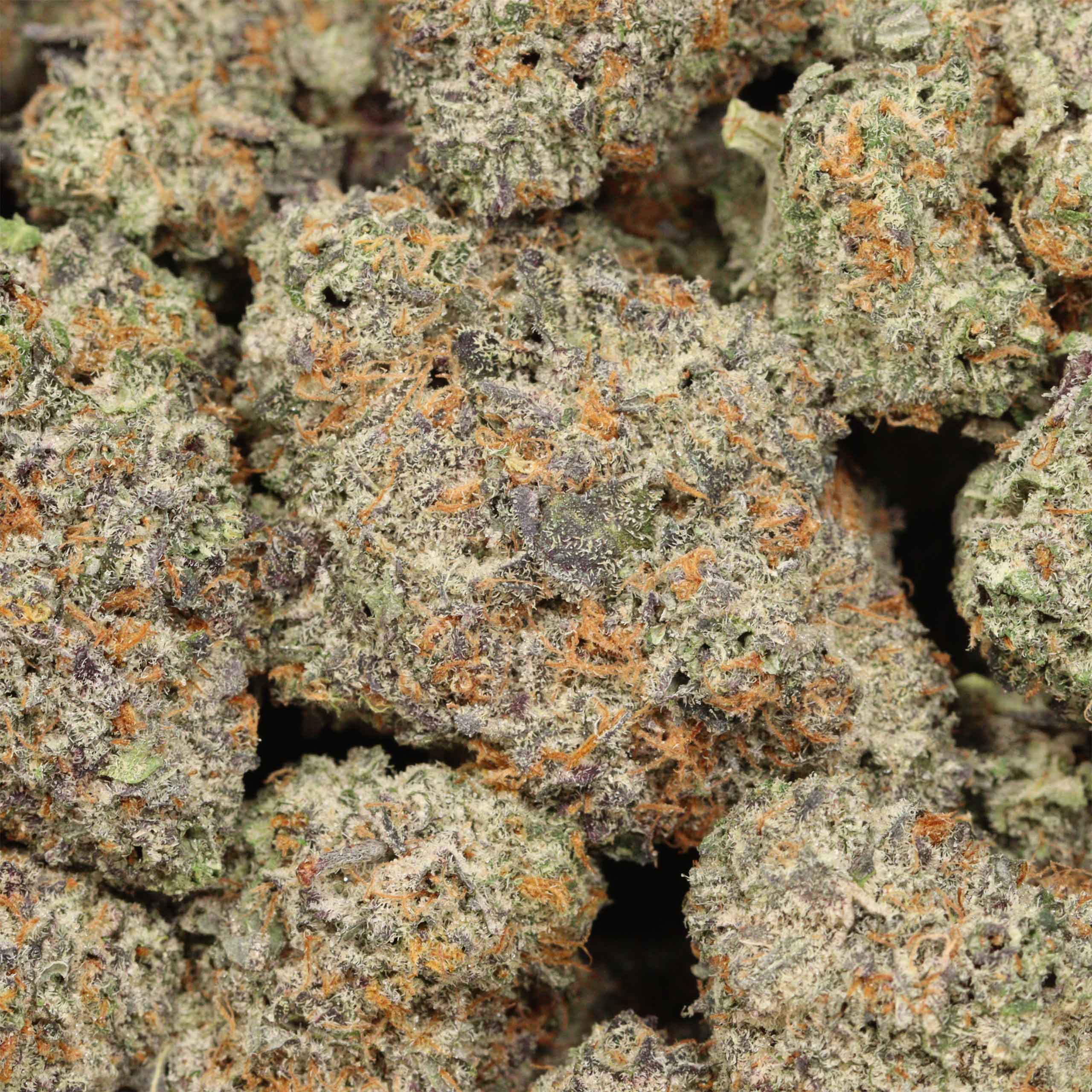 Trunk Funks craft cannabis wholesale