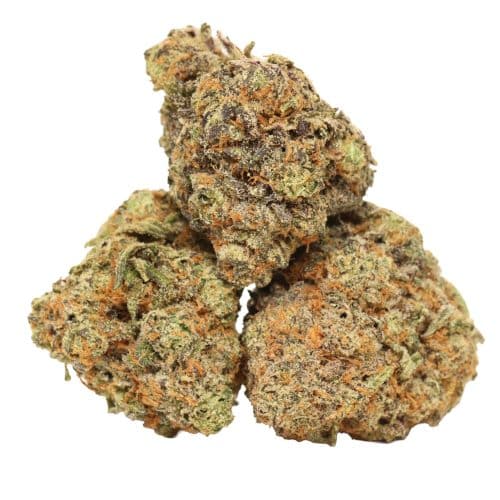 Ultra Banana strain cannabis