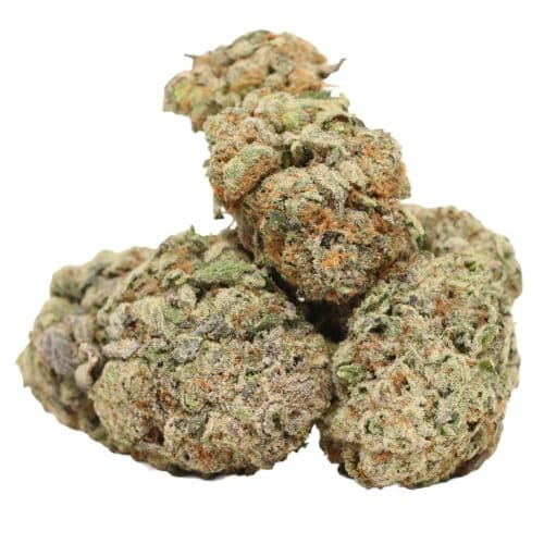 Violator Kush strain cannabis