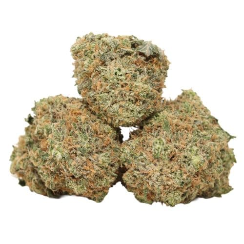 White Diamond strain cannabis