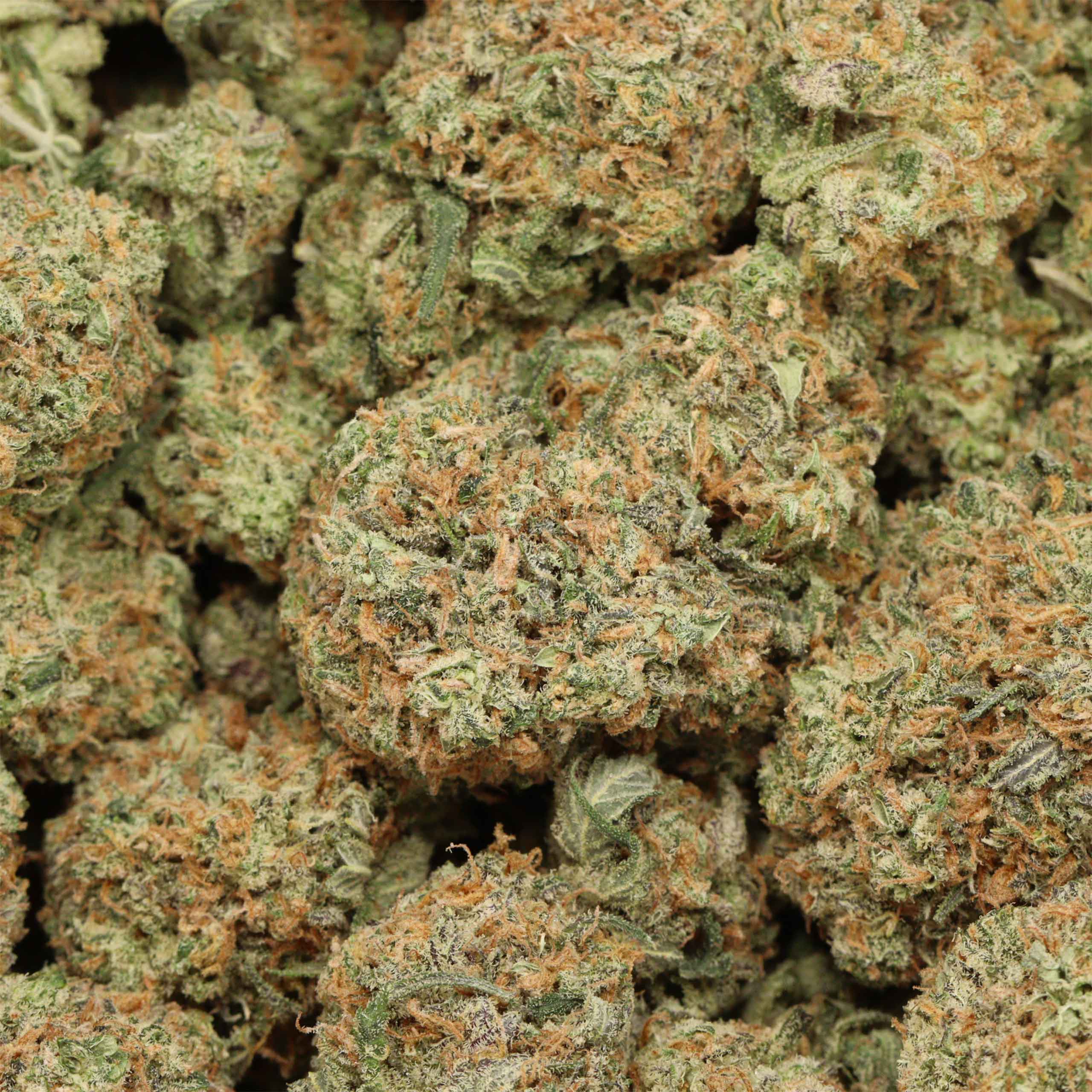 White Diamond cannabis