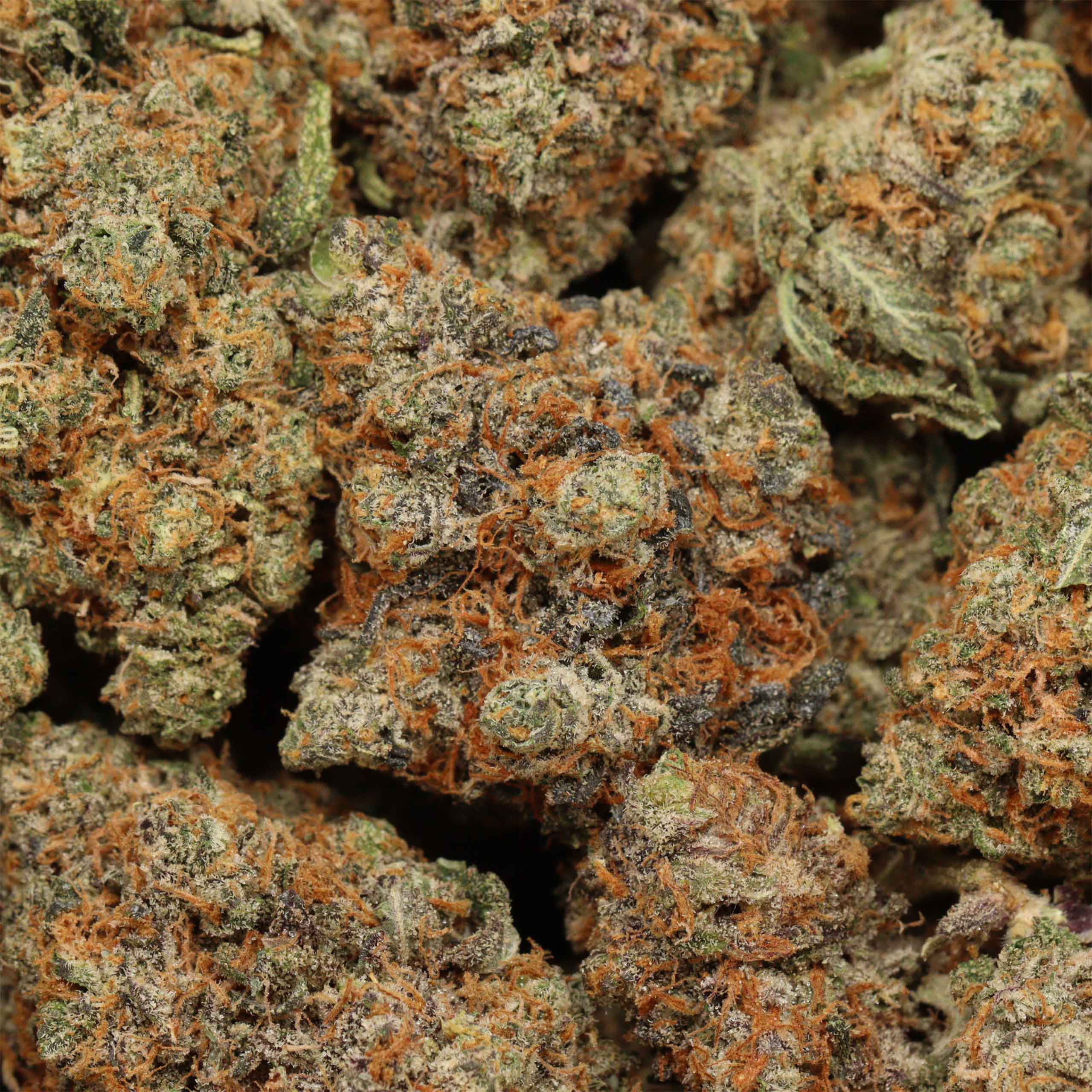 White Truffle cannabis wholesale