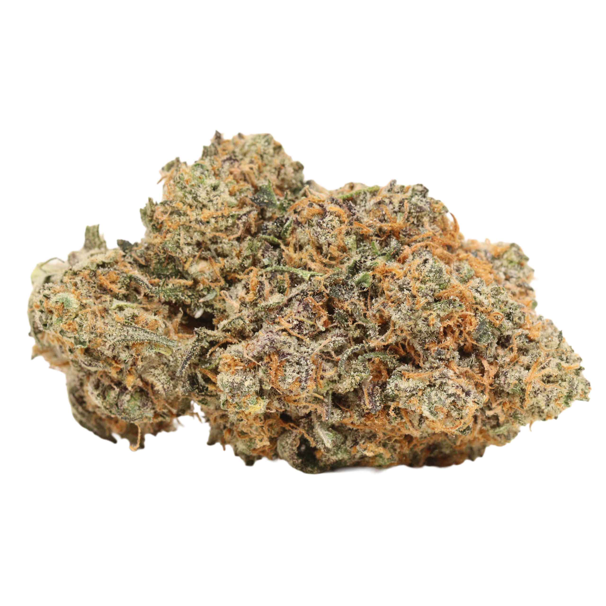 White Truffle weed cannabis