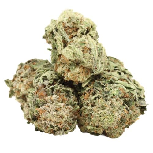 Yoda OG strain cannabis