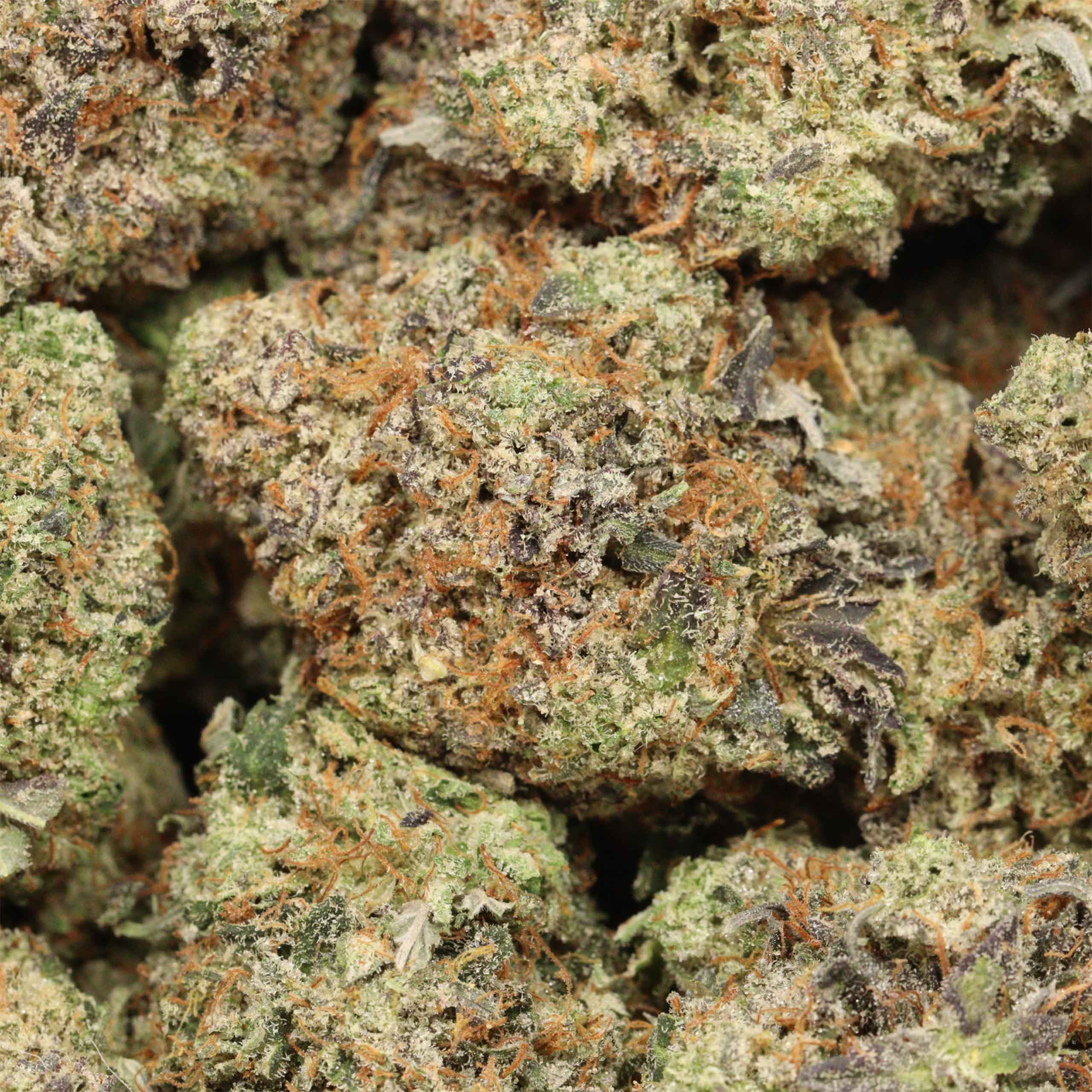 Fancy Funk craft cannabis