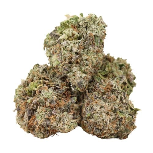 Grand Daddy Death strain craft cannabis