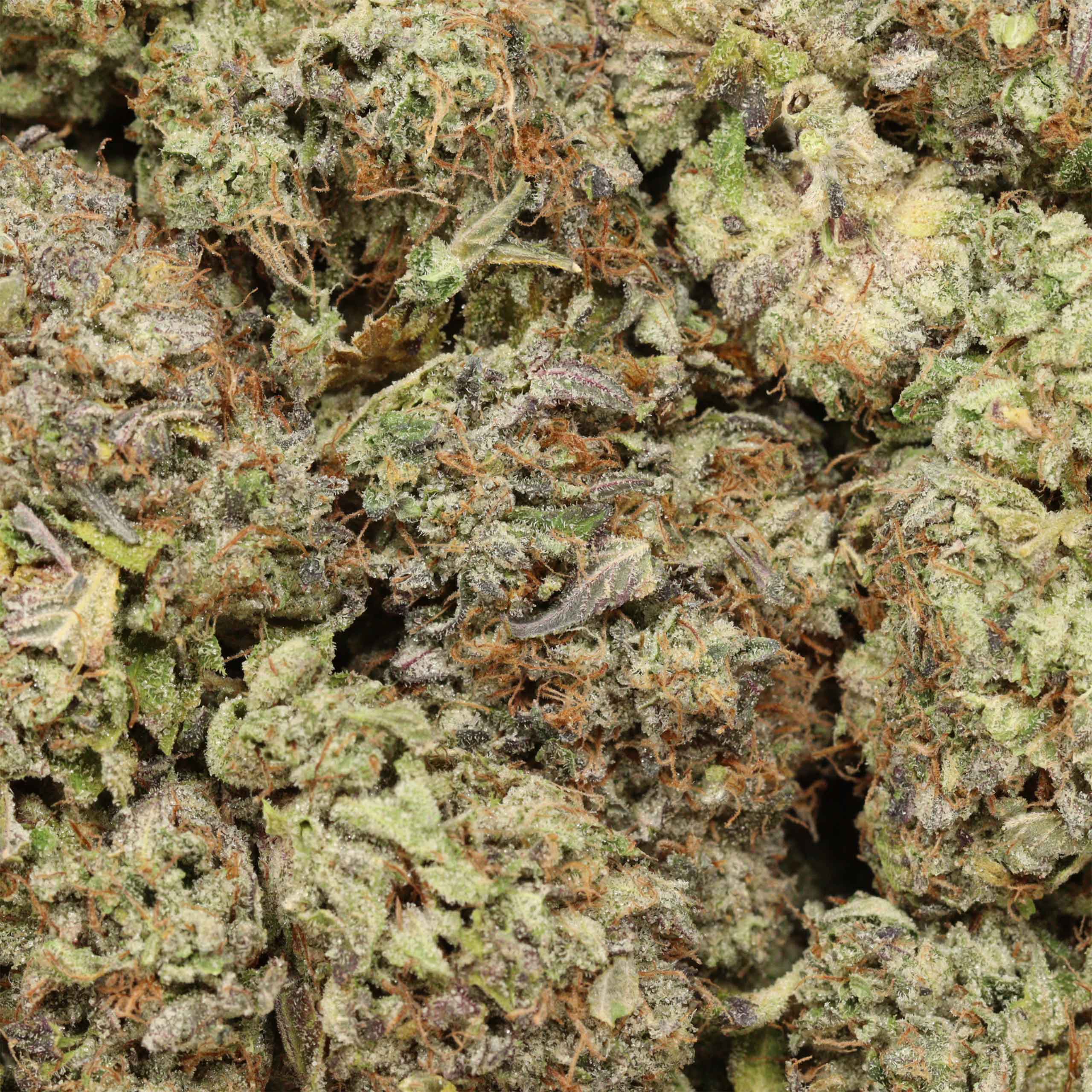 Grand Daddy Death craft cannabis