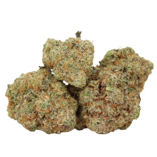 Mac 10 strain cannabis