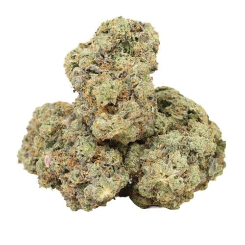 Four Star General strain cannabis