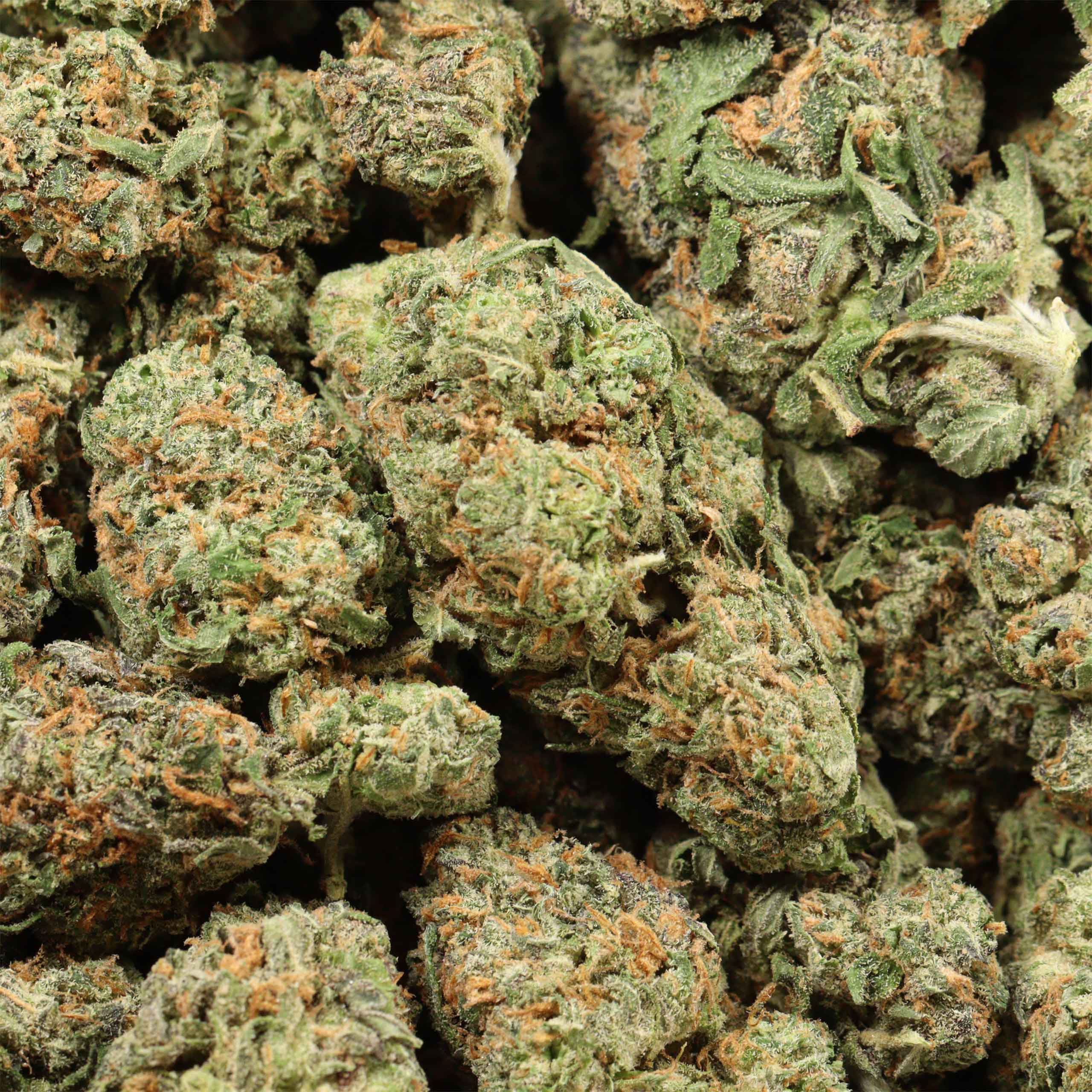 94 Monkey cannabis wholesale