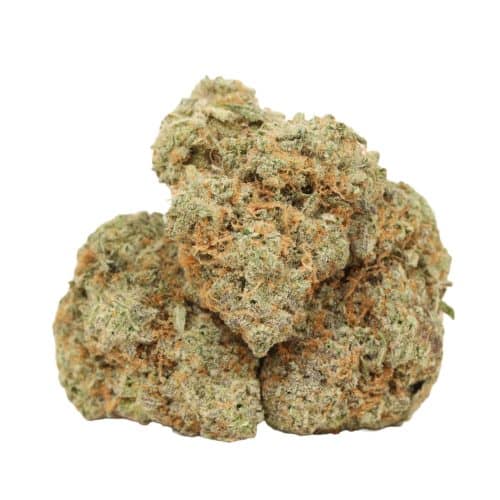 Afghani Kush strain cannabis