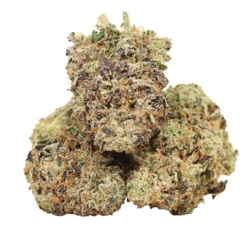 Ahi Tuna Kush strain cannabis