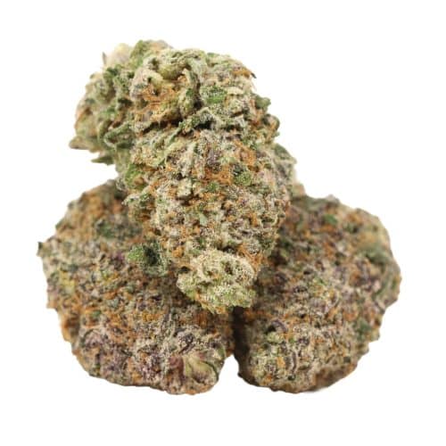 Atomic Blueberry strain cannabis