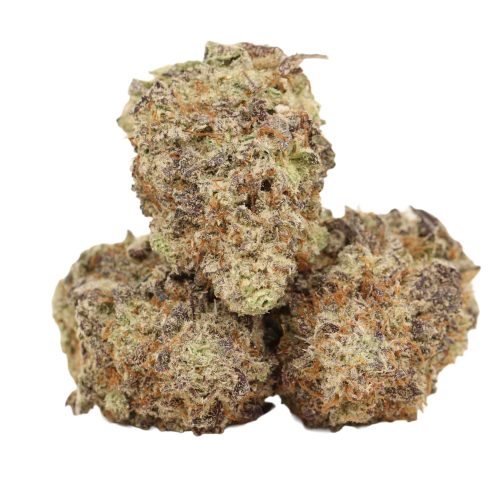 Big Drip strain cannabis