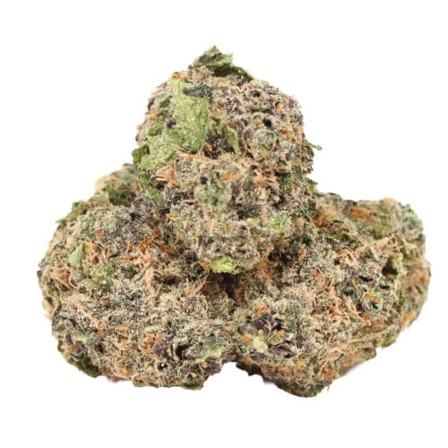 Biscotti strain cannabis