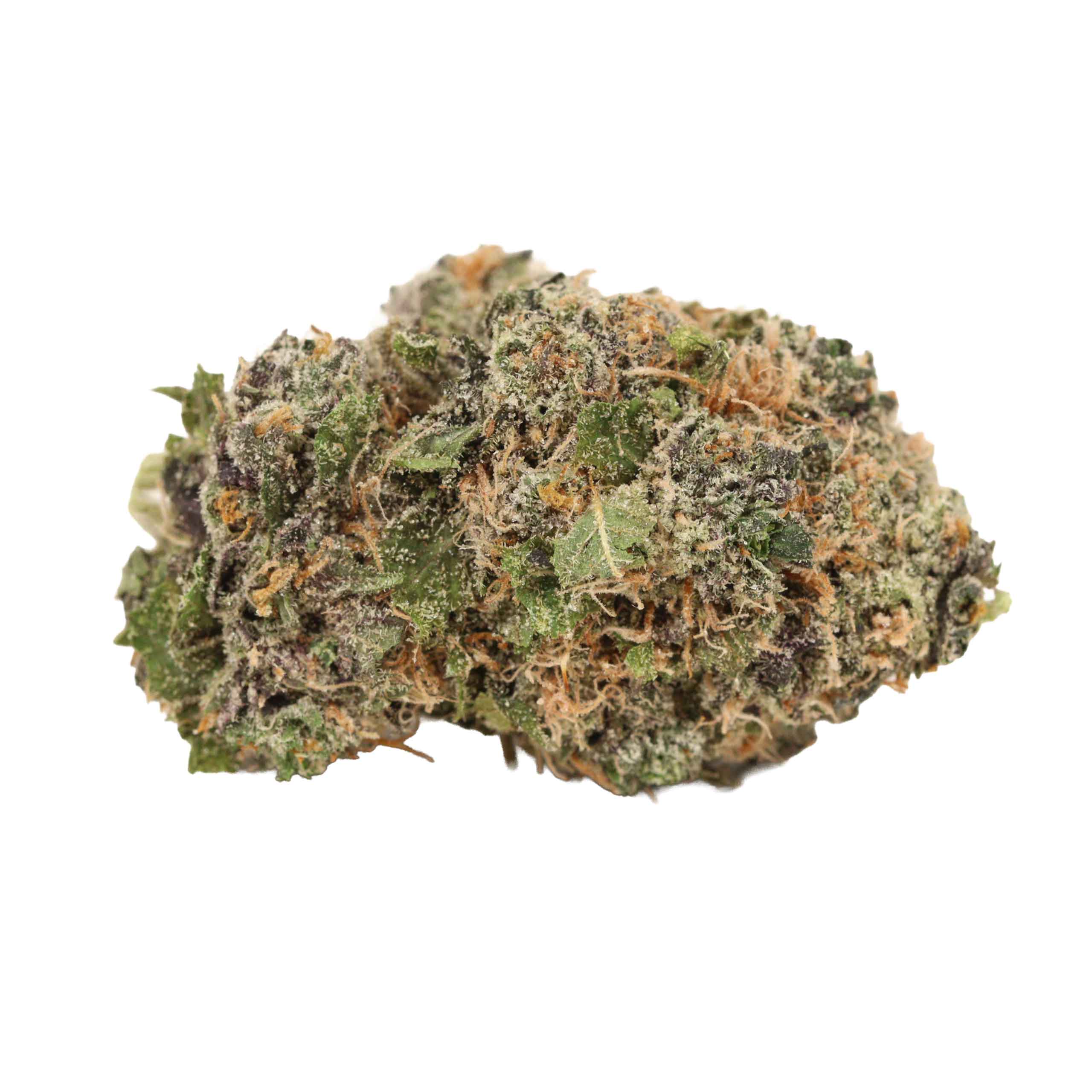 Biscotti Strain | Online Dispensary Canada | Bulk Buddy