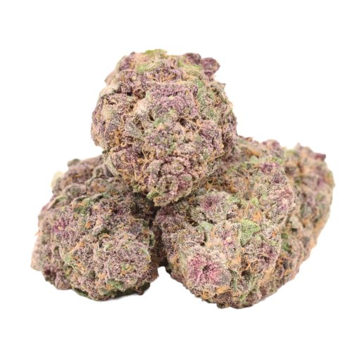 Black Cherry Soda strain cannabis