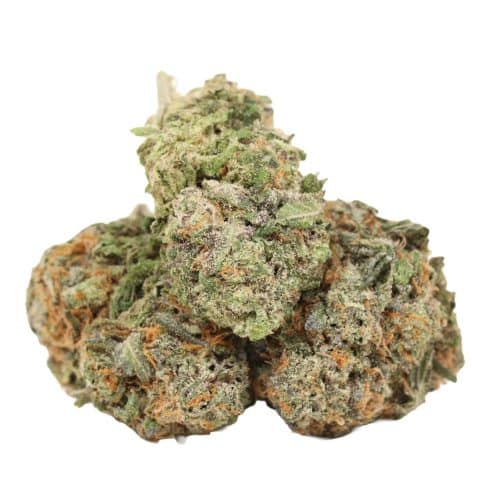 Blue King strain cannabis