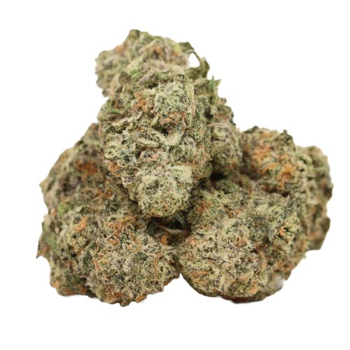 Cartel Kush strain cannabis