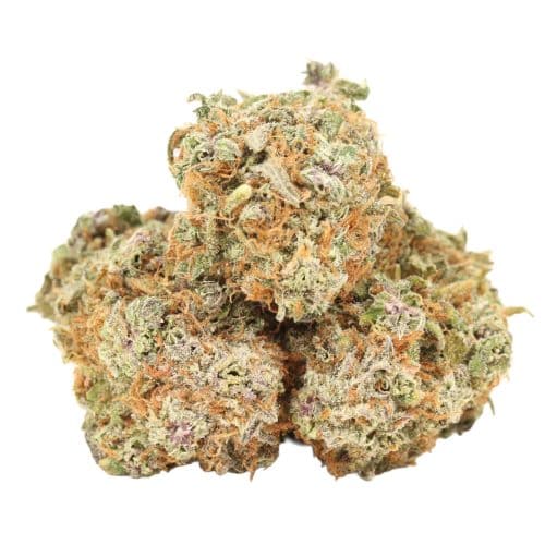 Casey Jones strain cannabis