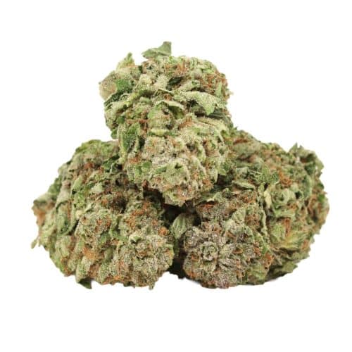 Dior Pink Kush strain cannabis