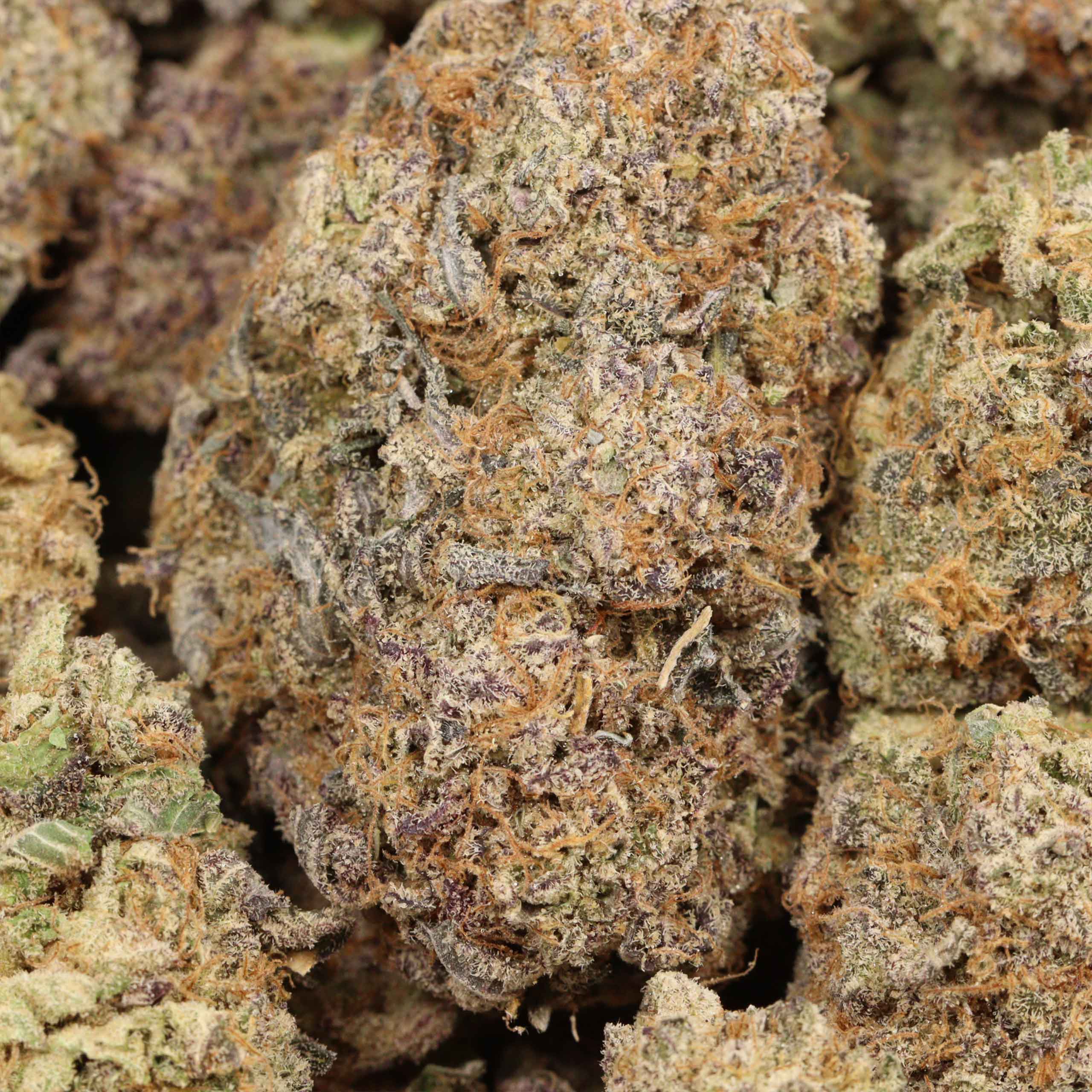 Fortune Cookies cannabis wholesale