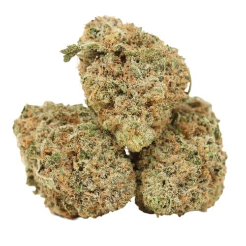Girl Scout Cookies strain cannabis