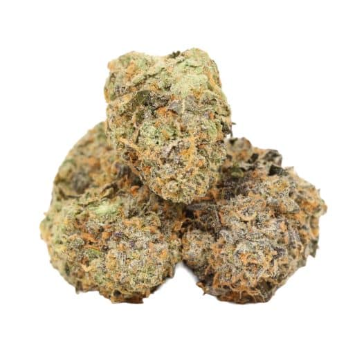 Gorilla Frost strain cannabis