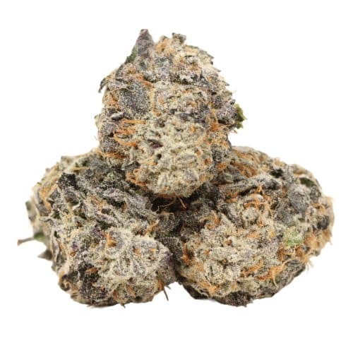 High Octane OG strain cannabis