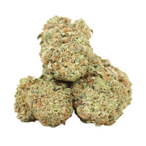 Hydro Pink Kush strain cannabis