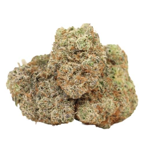 Khalifa Kush strain cannabis