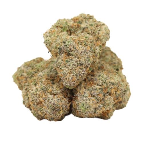 King Louis XIII strain cannabis