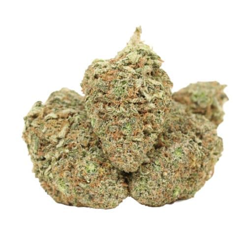 Lemon Kush strain cannabis