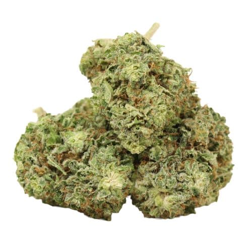 Love Potion #1 strain cannabis