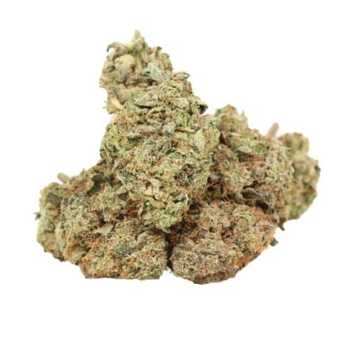 MK Ultra strain cannabis