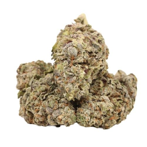 Northern Lights strain cannabis