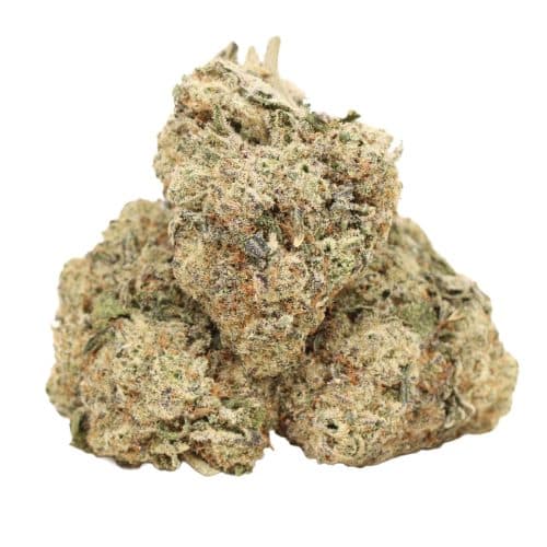 OMFG strain cannabis