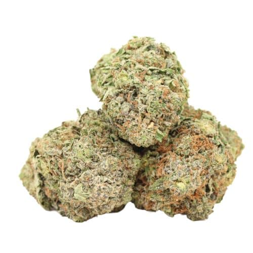 Pink Death strain cannabis