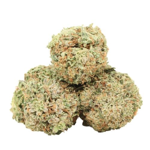 Pink Gas strain cannabis