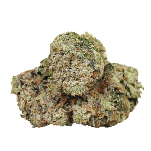 Pink Pussy strain craft cannabis