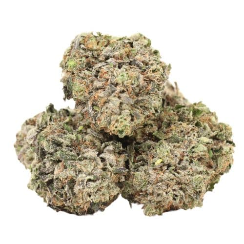 Pink Rozay strain craft cannabis