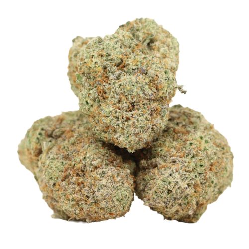 Purple Queen strain craft cannabis