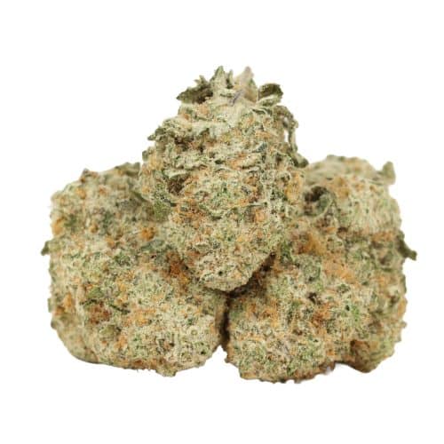 Quantum Kush strain craft cannabis