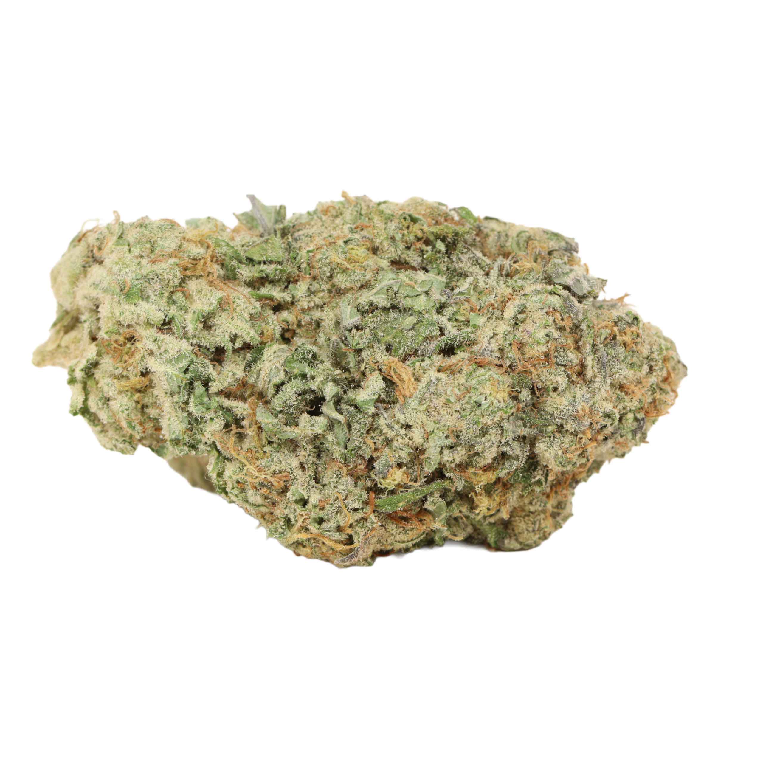 Scout Master weed cannabis