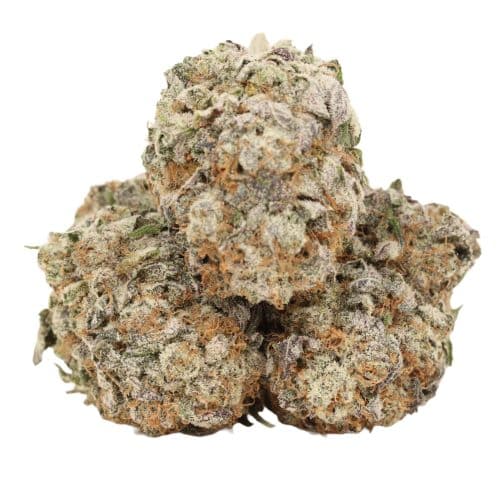 Space Queen strain cannabis